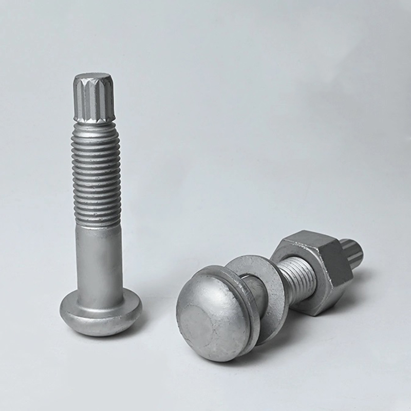 ASTM F2280 A490 টর্ক শিয়ার বোল্ট হট-ডিপ গ্যালভানাইজড